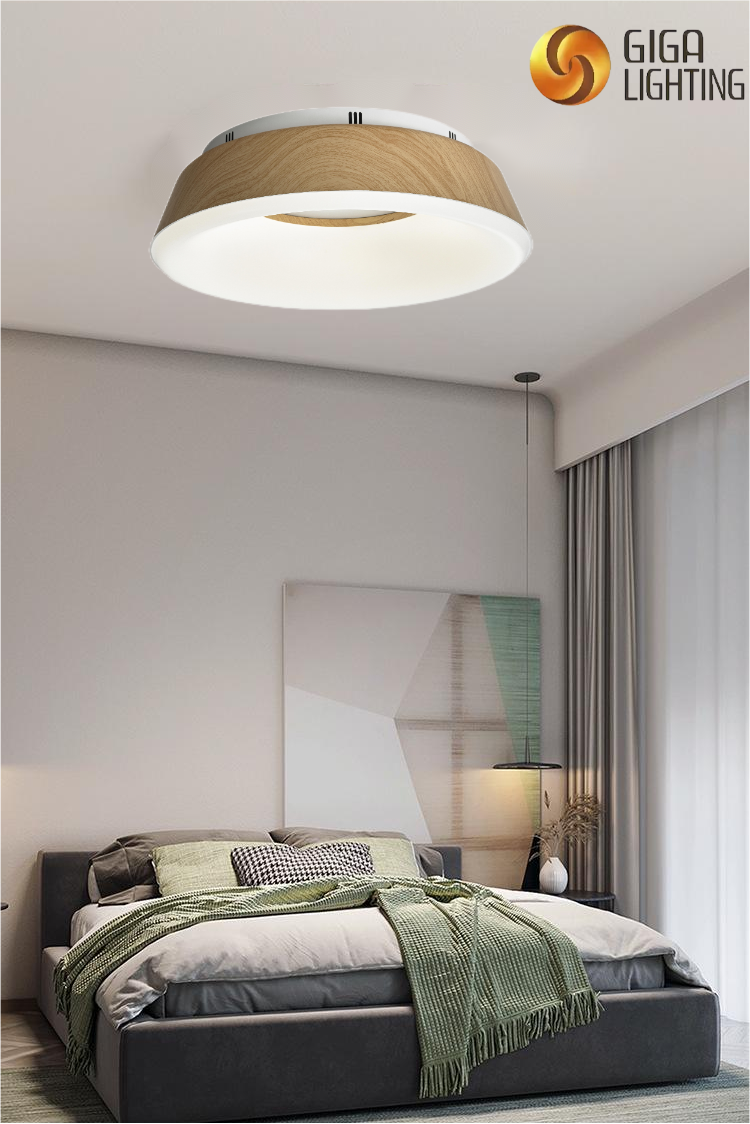 TUV Certification Minimalist Bedroom Lamp Creative Round Led Ceiling Light