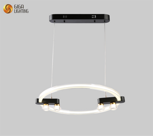 CE TUV VDE clear led round ring Pendant lamps acylic round ring clear pendant lights - Attract Customers Improve Visibility Maximize Profit Durable & Efficient Lighting Solutions