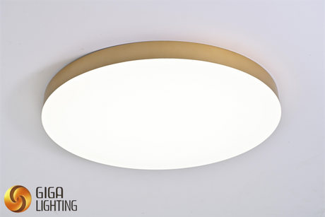 IP40 LED Dimmable Ceiling Light Ultra-thin Round Lamp Balcony Bedroom Light Aisle Corridor Light