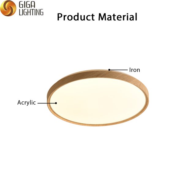 VDE nordic Round iron acylic LED ceiling Lighting factory