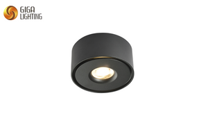 Precision Illumination Solutions: Explore Our Factory-Wholesale Ceiling-Mounted LED Spotlights – Expertly Engineered for Professional Spaces! Adjustable, Modern, and Flush-Mounted Brilliance."