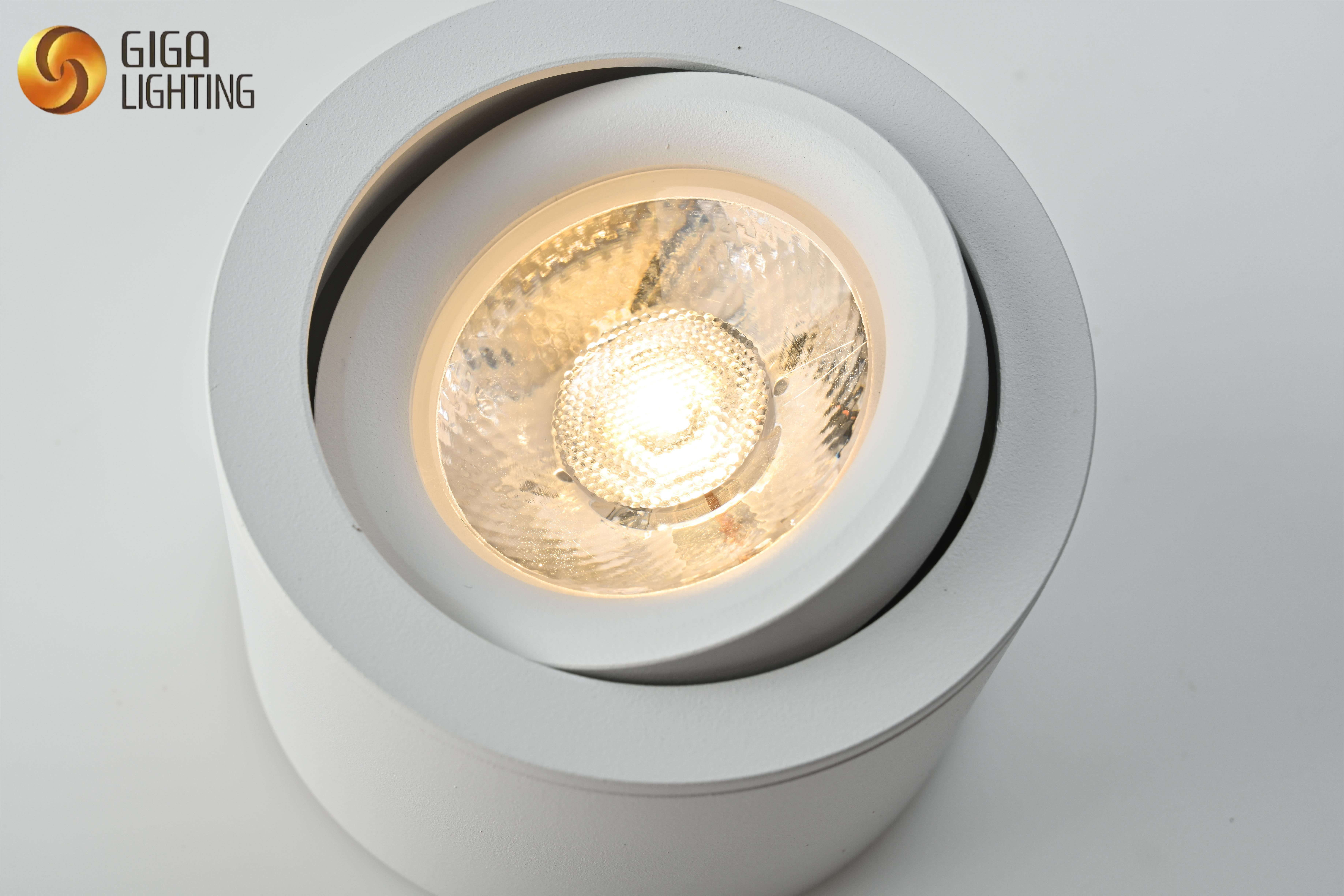 Transform Spaces with Precision: Explore Our Ceiling-Mounted Spotlight Adjustable – Ideal for Modern Environments. Factory Wholesale Available. Discover Quality Lighting Solutions Now
